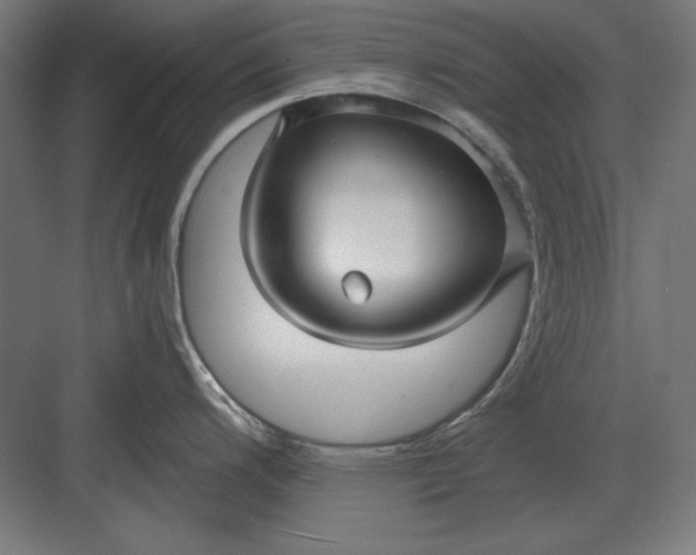 X0000082931200200702152139