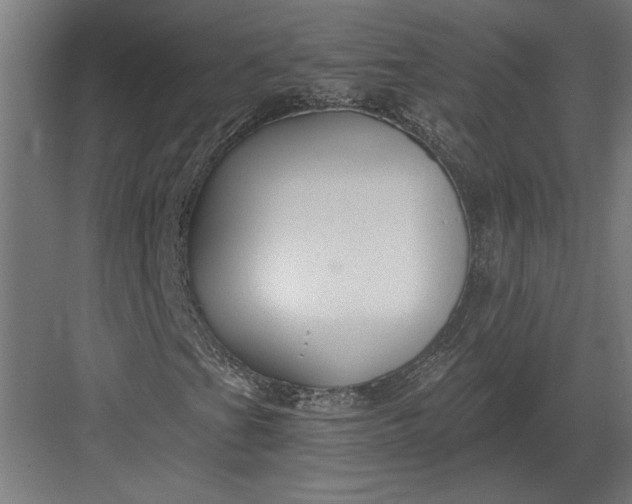 X0000082931201200702152138