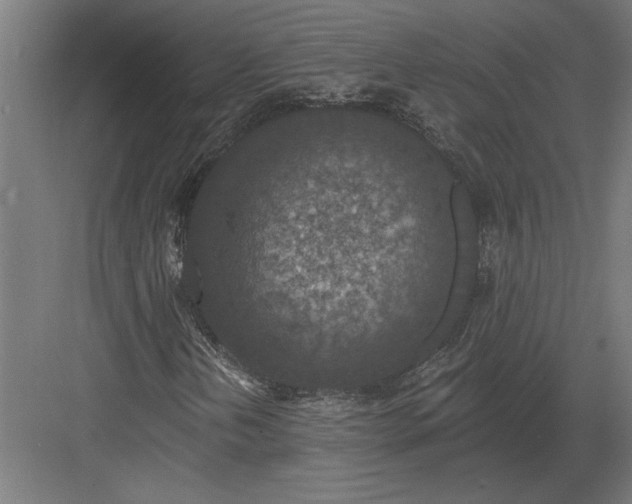 X0000082931202200702152138