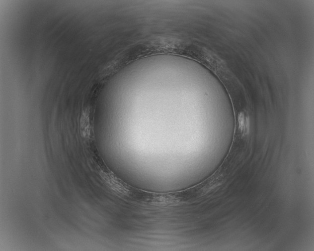 X0000082931203200702152138