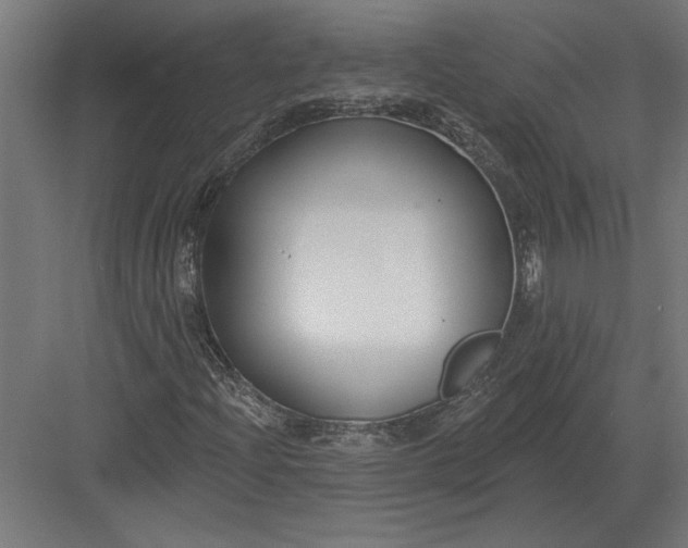 X0000082931204200702152138