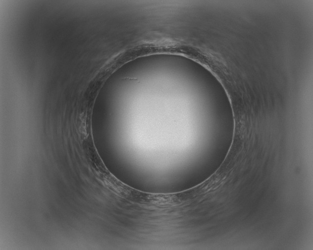 X0000082931205200702152138