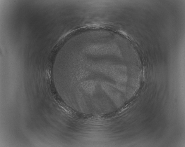 X0000082931206200702152138