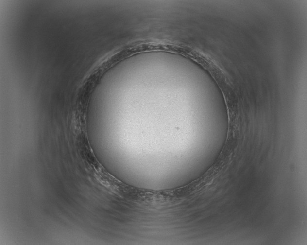 X0000082931207200702152138