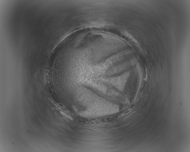 X0000082931208200702152138