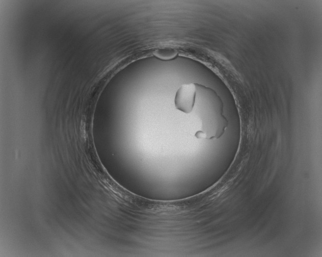 X0000082931209200702152138