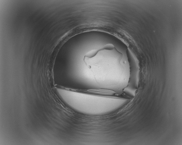 X0000082931210200702152138