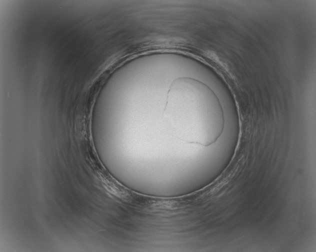 X0000082931211200702152139