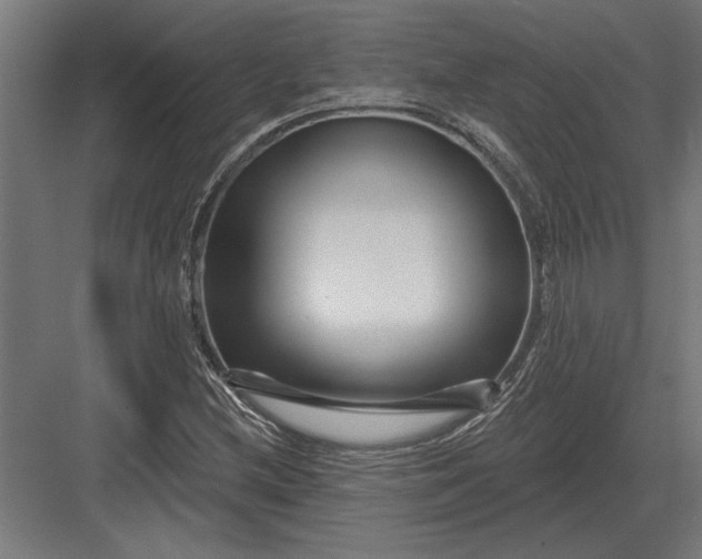 X0000082931212200702152139