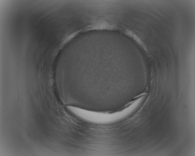 X0000082931213200702152139