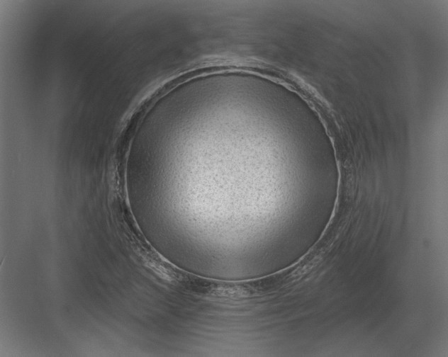 X0000082931215200702152139