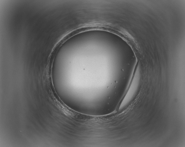 X0000082931216200702152139