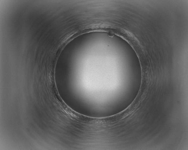 X0000082931217200702152139