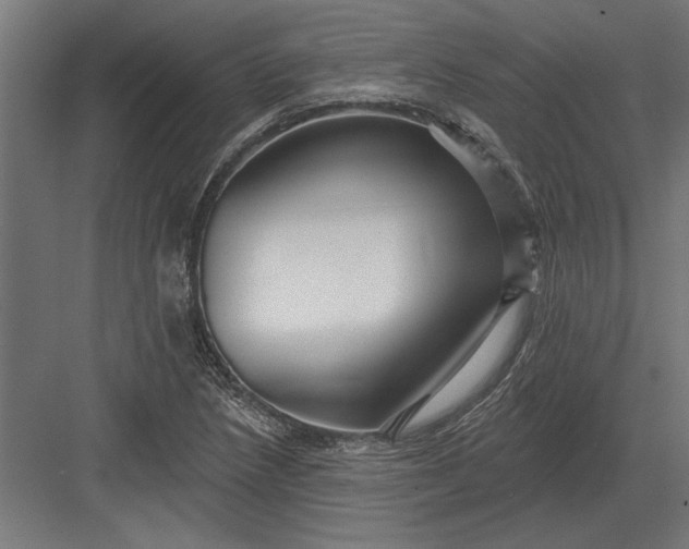 X0000082931218200702152139