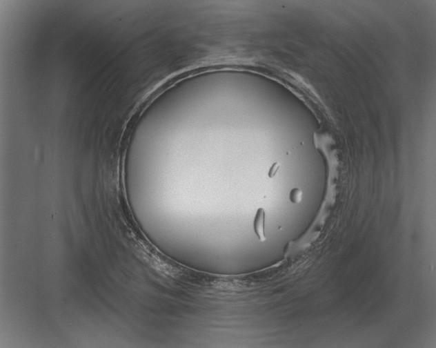 X0000082931220200702152139