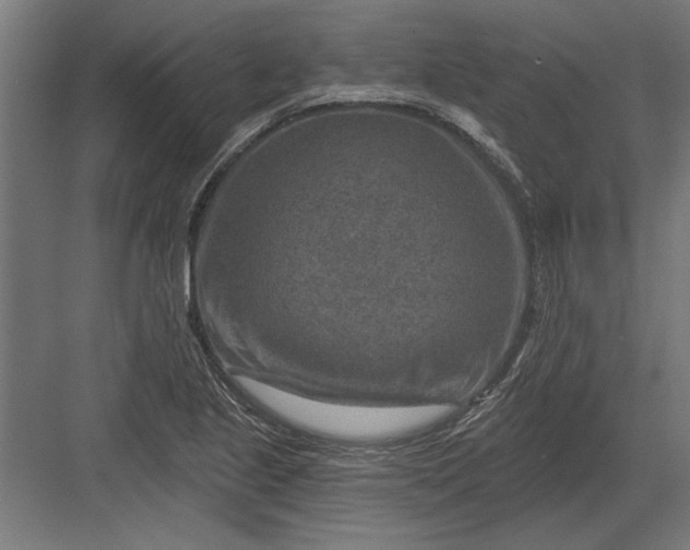 X0000082931221200702152139