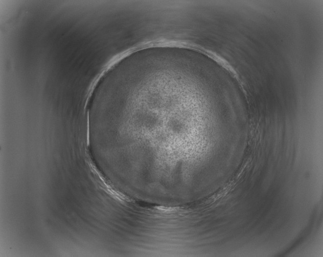 X0000082931223200702152139