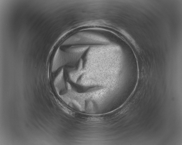 X0000082931224200702152139