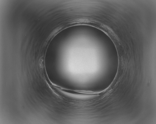 X0000082931225200702152139