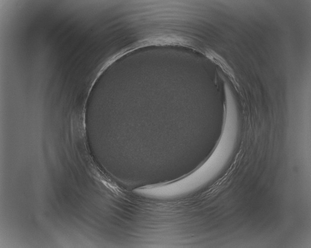 X0000082931226200702152139