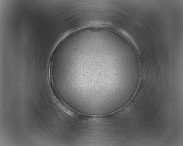 X0000082931227200702152139