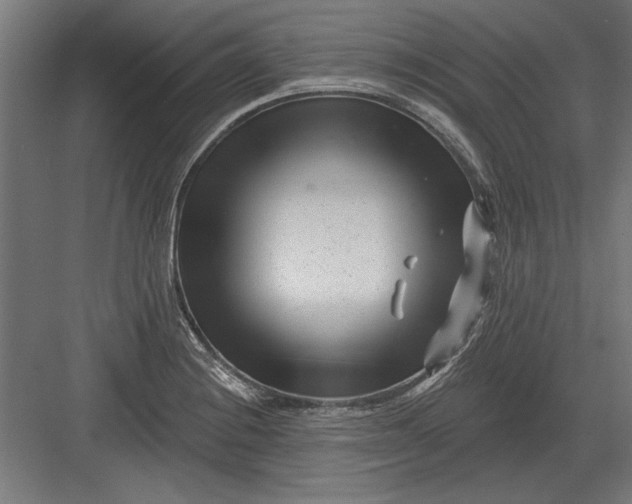 X0000082931228200702152139