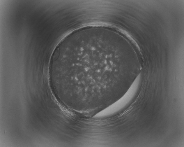 X0000082931229200702152139