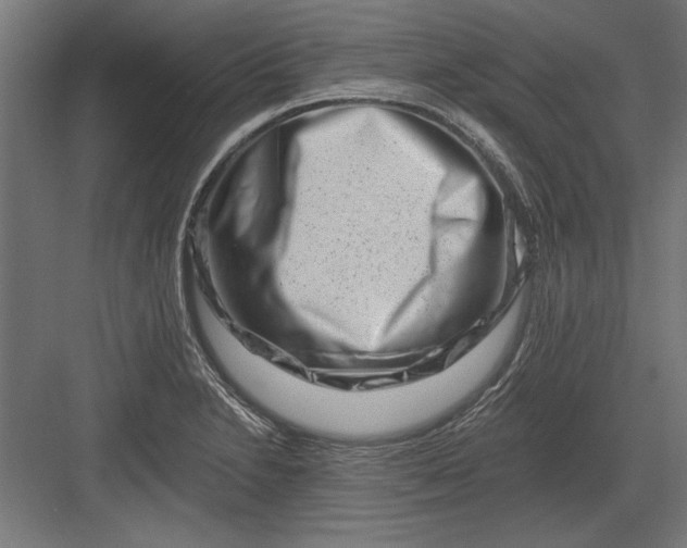 X0000082931230200702152139