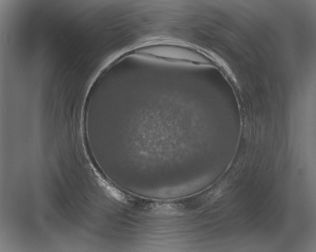 X0000082931231200702152139