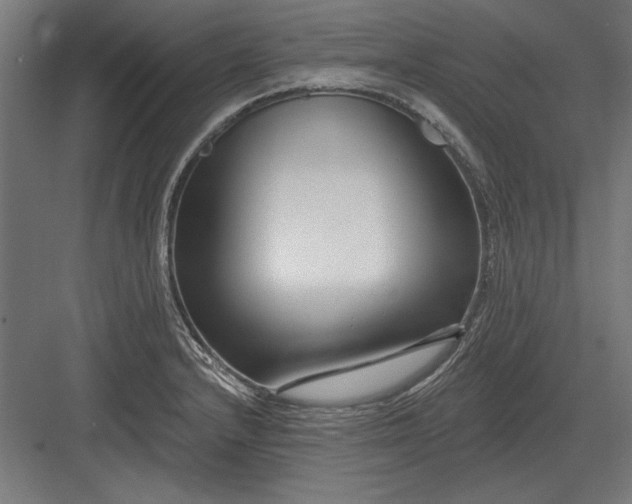 X0000082931232200702152139