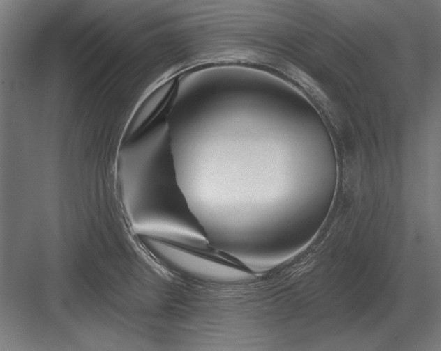 X0000082931234200702152139