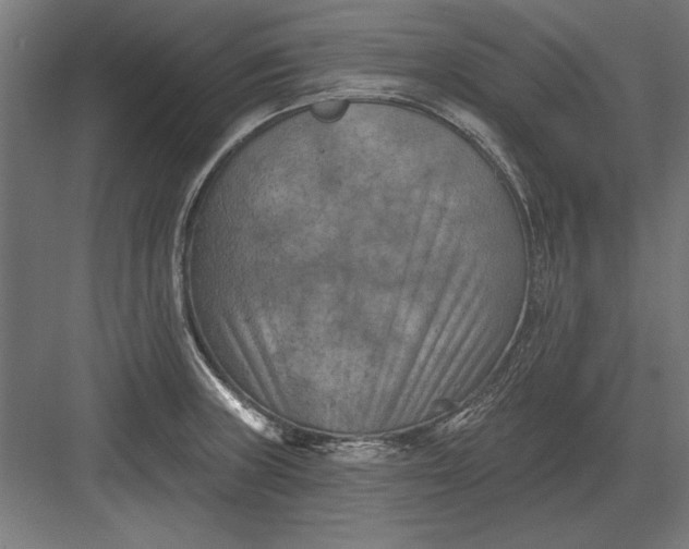 X0000082931235200702152139