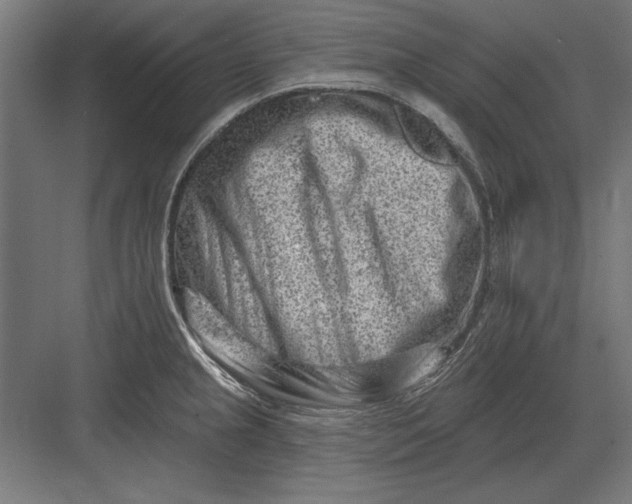 X0000082931237200702152139