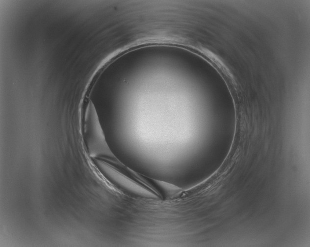 X0000082931238200702152139