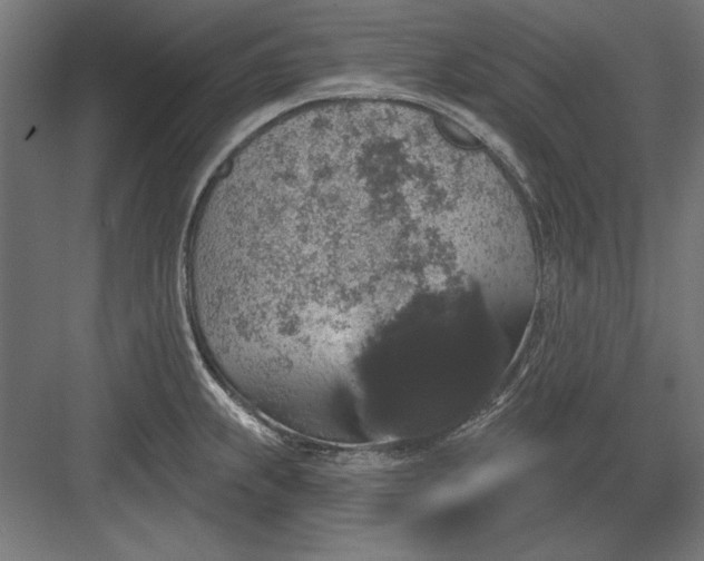 X0000082931239200702152139