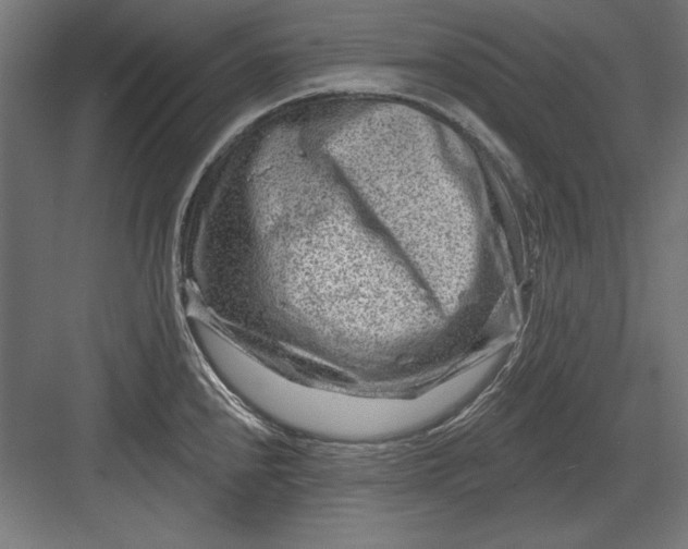 X0000082931240200702152139