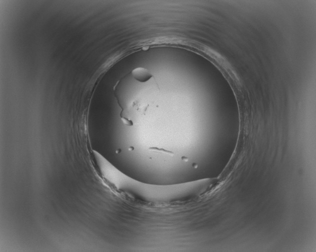 X0000082931241200702152139