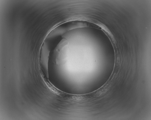 X0000082931242200702152139