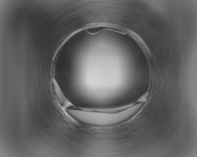 X0000082931244200702152139