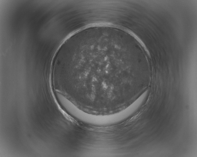 X0000082931245200702152139