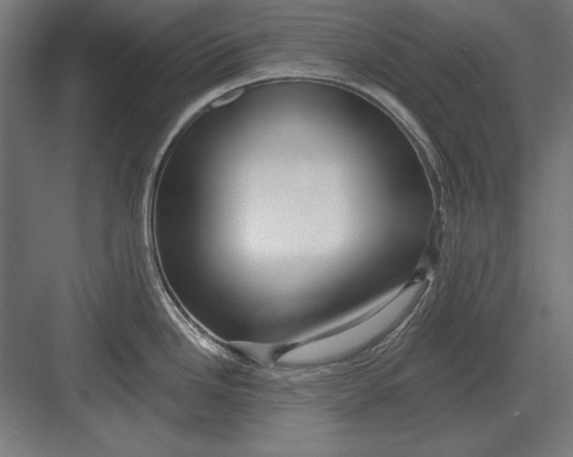 X0000082931246200702152139