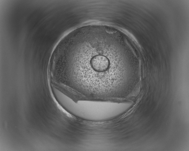 X0000082931247200702152139