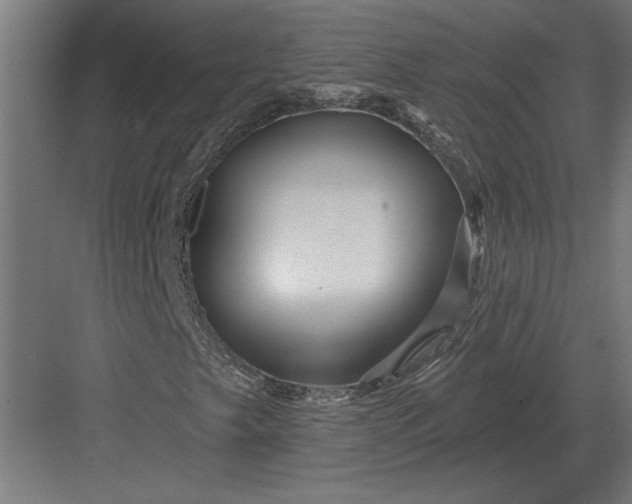 X0000082931249200702152138