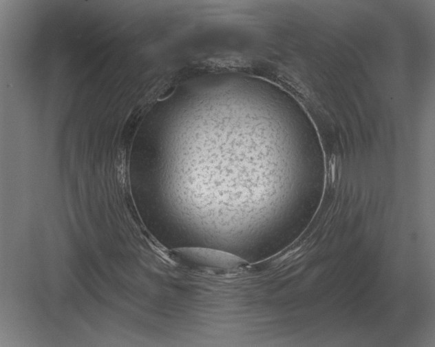 X0000082931251200702152138