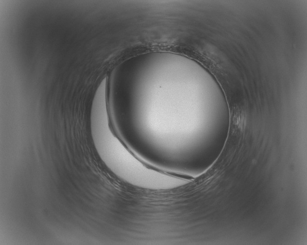 X0000082931252200702152138