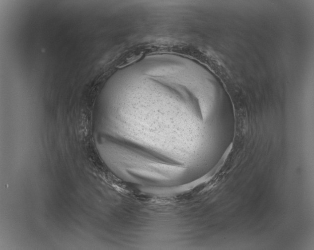 X0000082931253200702152138