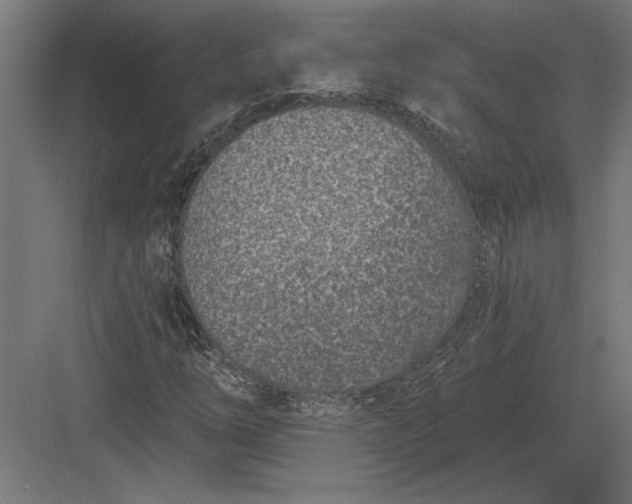 X0000082931254200702152138