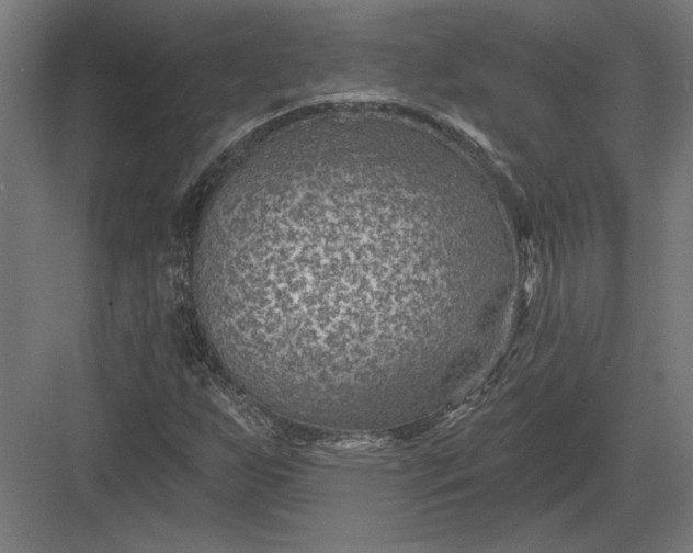 X0000082931255200702152138