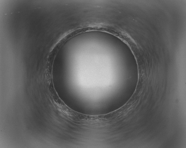 X0000082931256200702152138