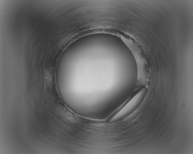 X0000082931257200702152138